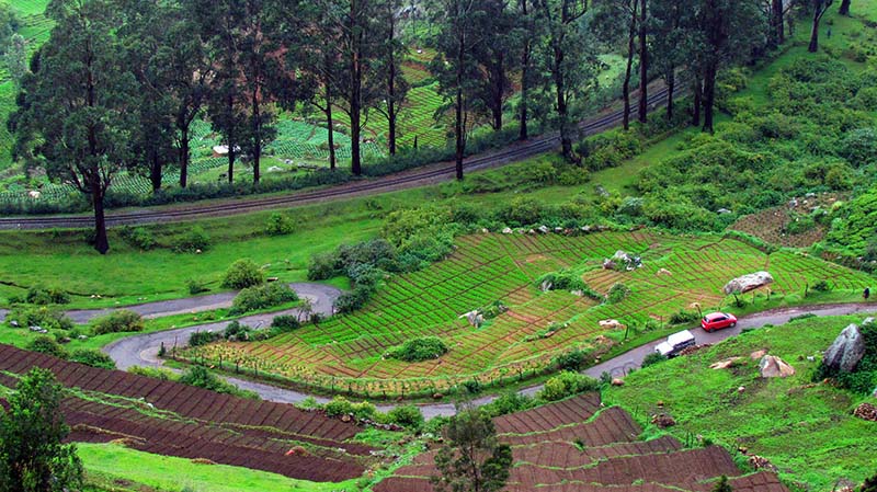 Bangalore Mysore Ooty Bike Tour